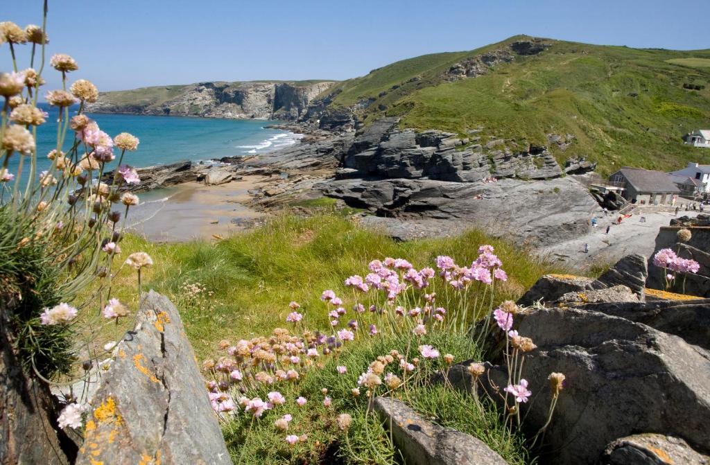 Port William Inn Tintagel Ngoại thất bức ảnh